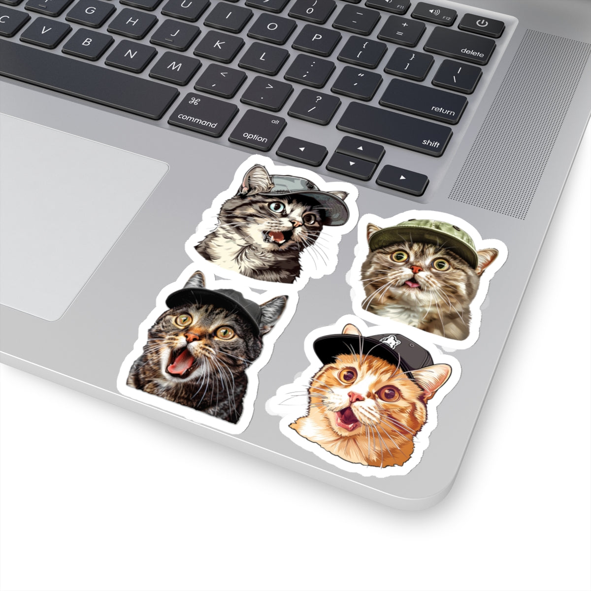 Cool Snooty cats meme Kiss-Cut Sticker