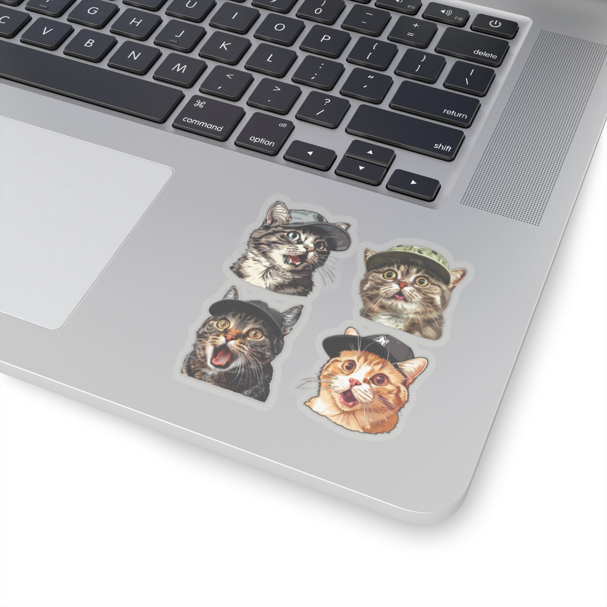 Cool Snooty cats meme Kiss-Cut Sticker